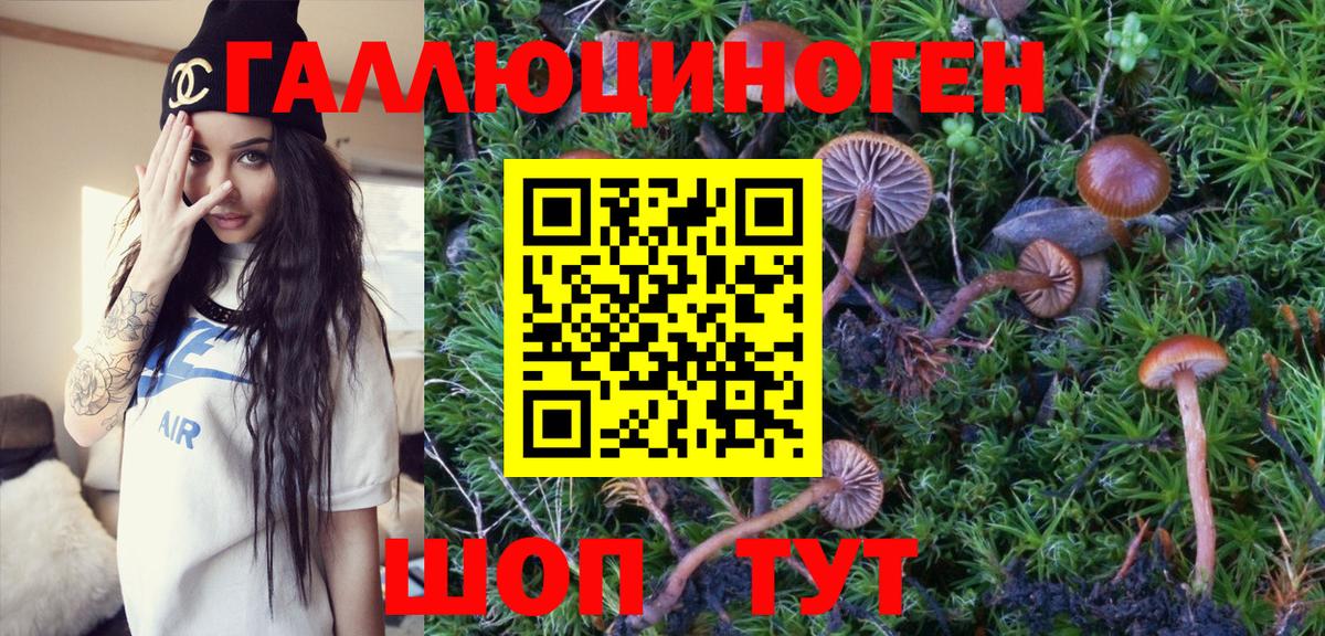 Псилоцибиновые грибы Psilocybe  Псилоцибиновые грибы Magic Shrooms  Вход с VPN  Туймазы 